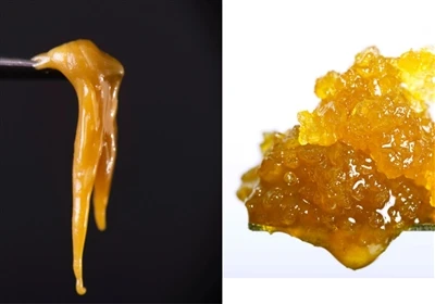 Live Resin vs. Live Rosin: Was ist der Unterschied?