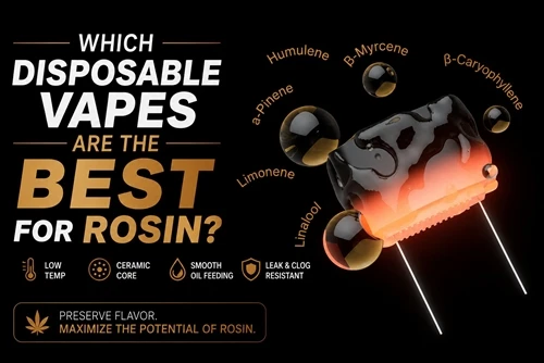 Welche Einweg-Vapes eignen sich am besten für Kolophonium?